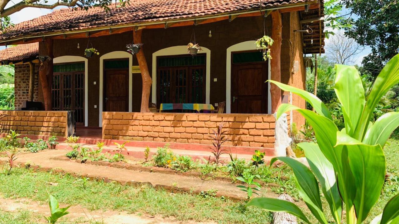 Sigiriya Chena Villa Экстерьер фото