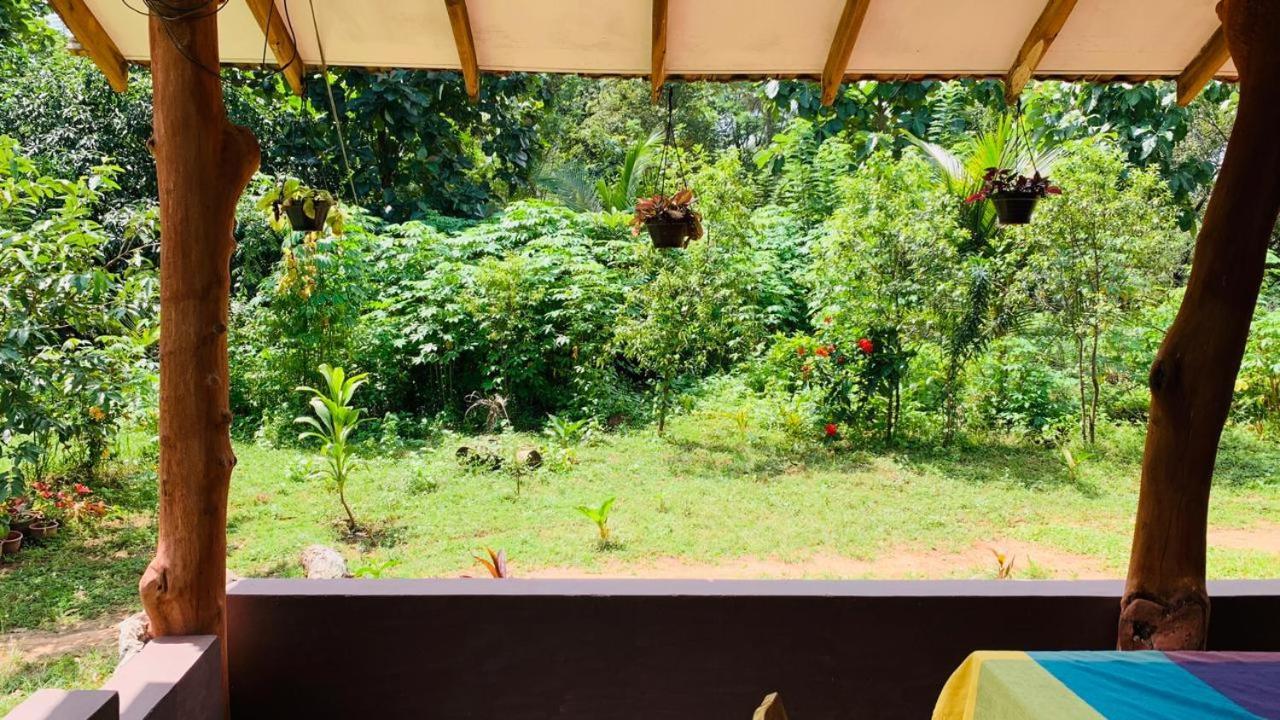 Sigiriya Chena Villa Экстерьер фото